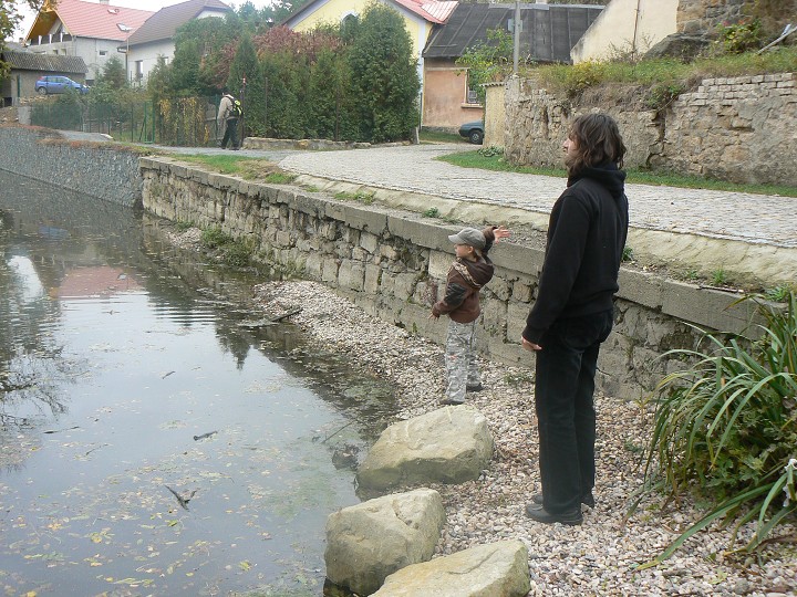 img00052.jpg