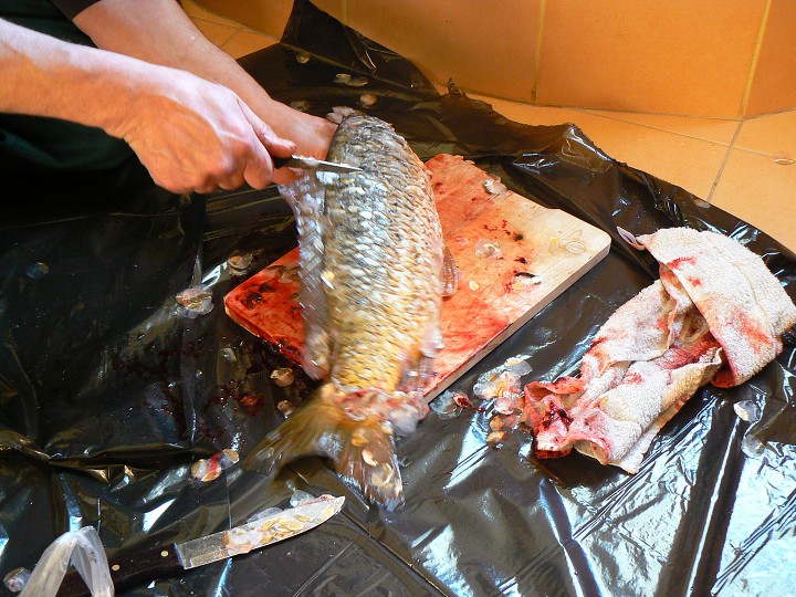 img00061.jpg