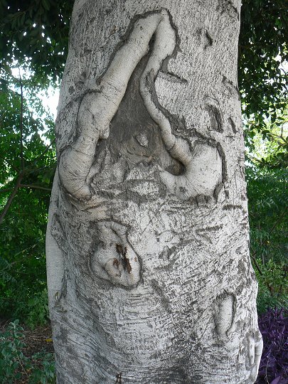 img00057.jpg