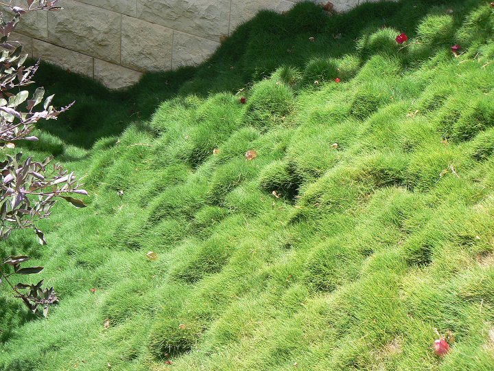 img00081.jpg
