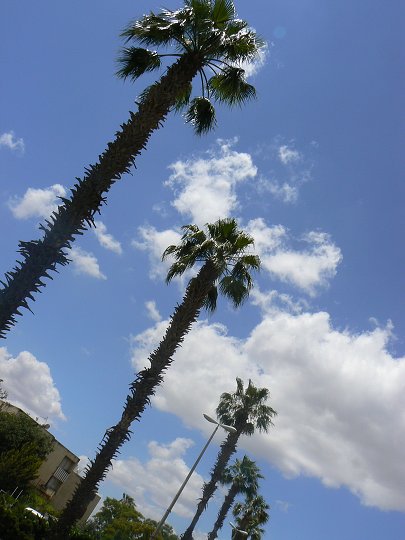 img00212.jpg