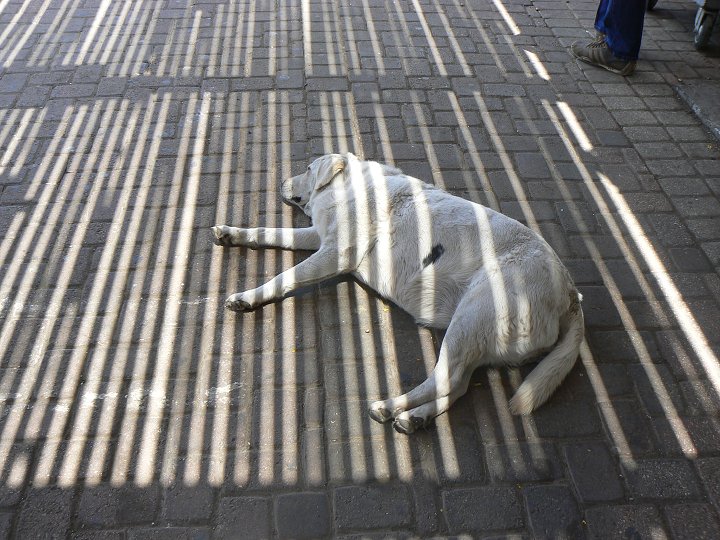 img00213.jpg