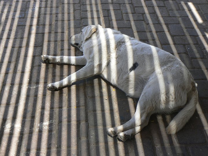 img00214.jpg