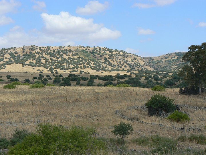 img00223.jpg