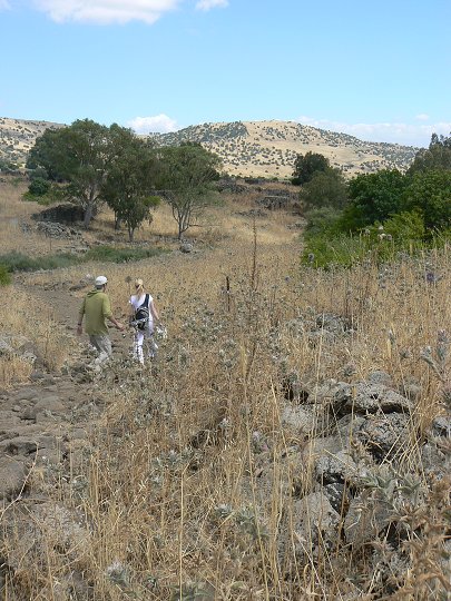 img00224.jpg