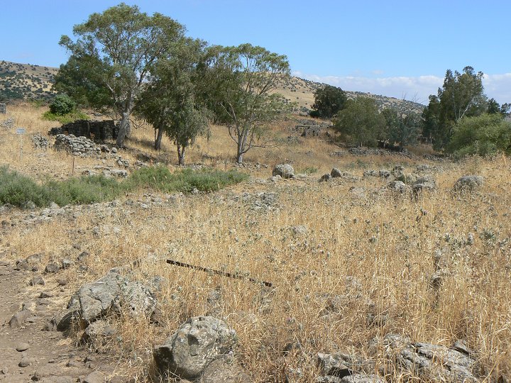 img00225.jpg