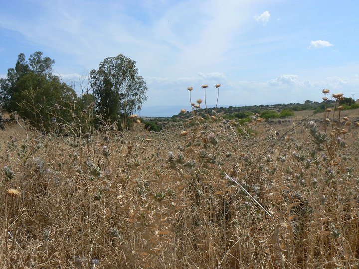 img00226.jpg