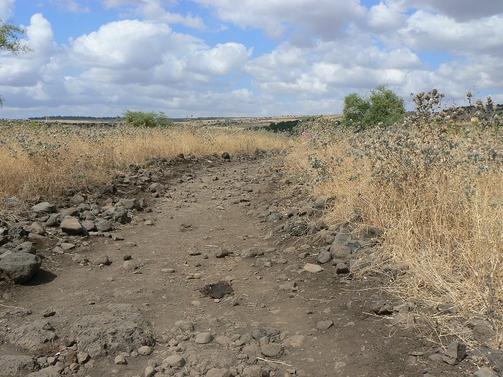 img00233.jpg
