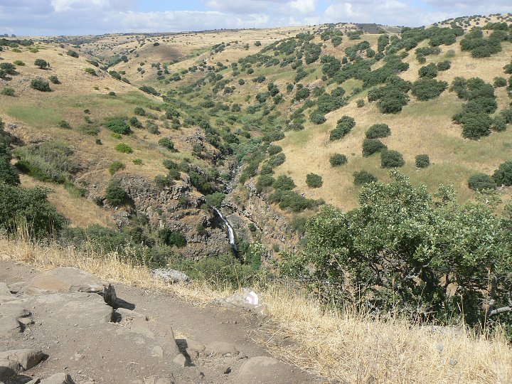 img00238.jpg