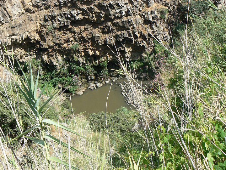 img00245.jpg