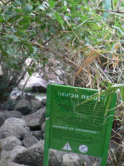 img00249.jpg