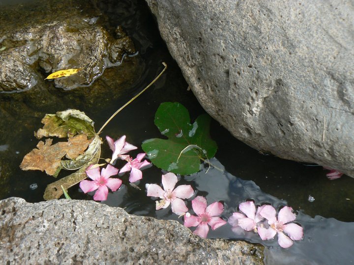 img00259.jpg