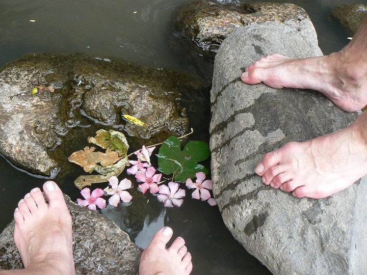 img00263.jpg