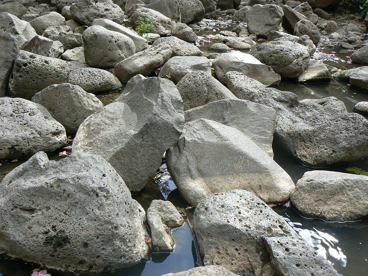 img00264.jpg