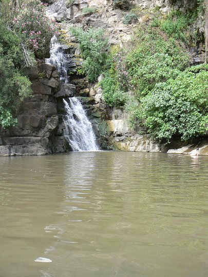 img00265.jpg