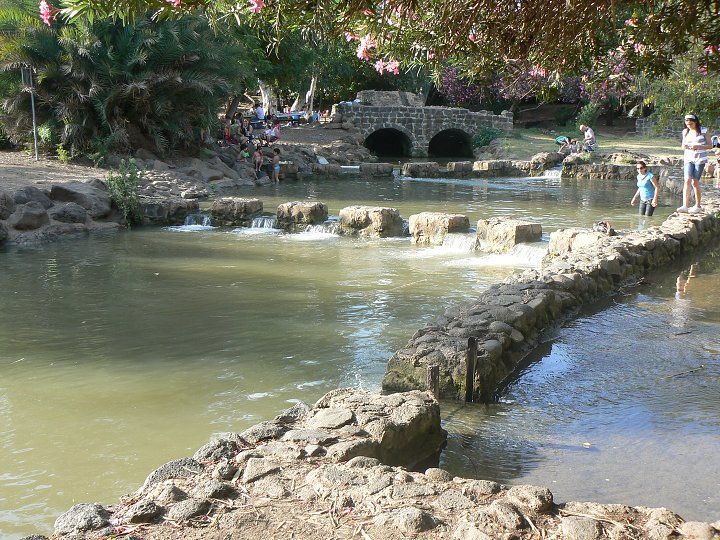 img00271.jpg