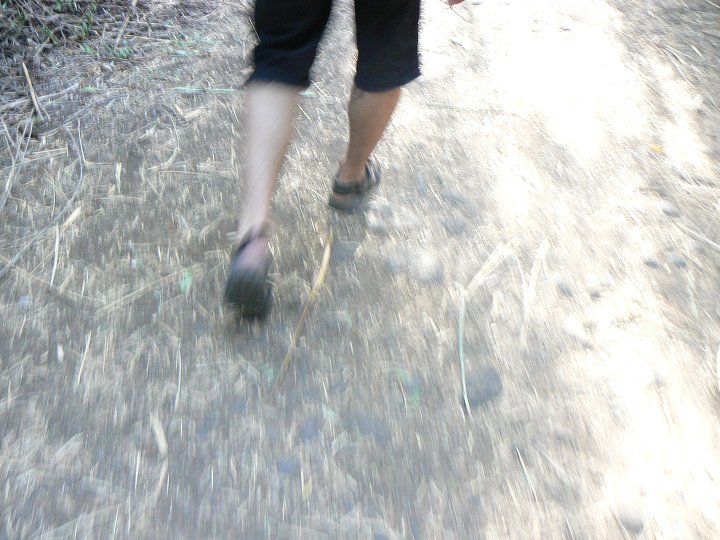 img00282.jpg