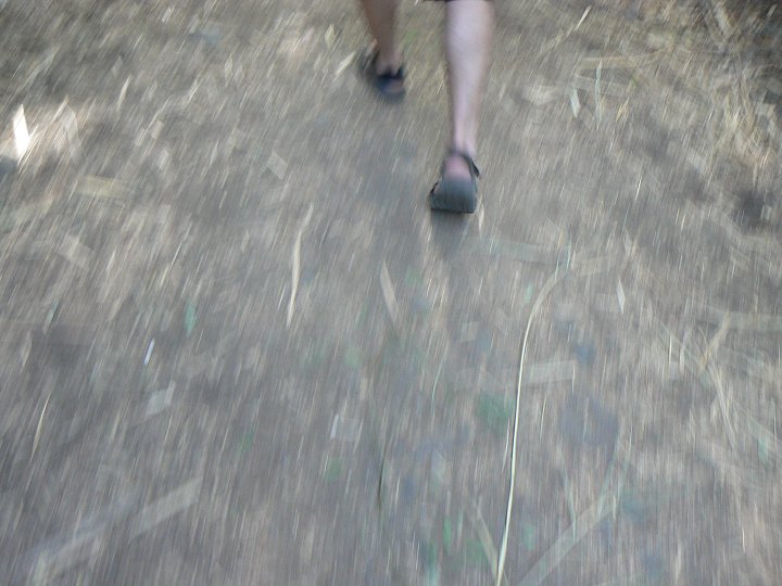 img00283.jpg