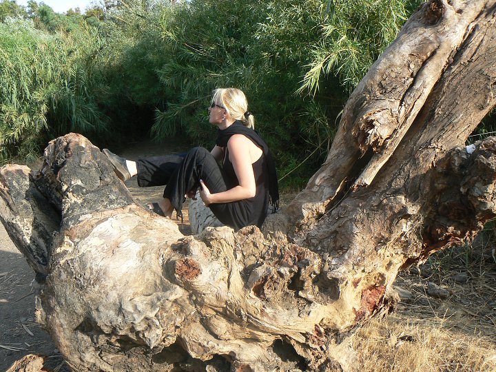 img00287.jpg