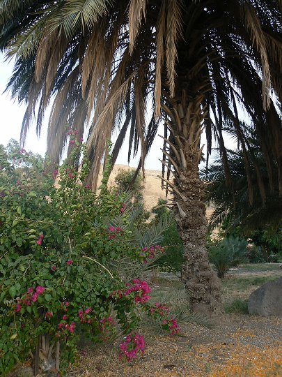 img00305.jpg