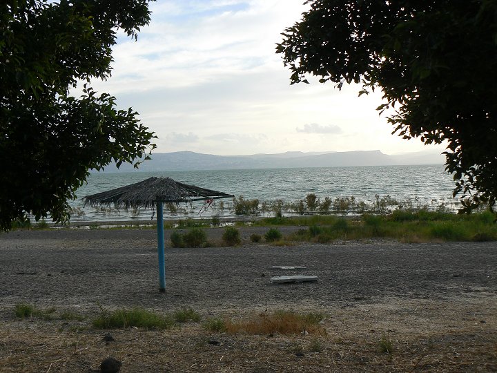 img00306.jpg