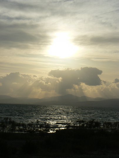 img00310.jpg