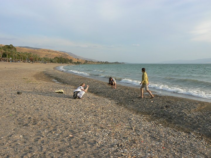 img00313.jpg