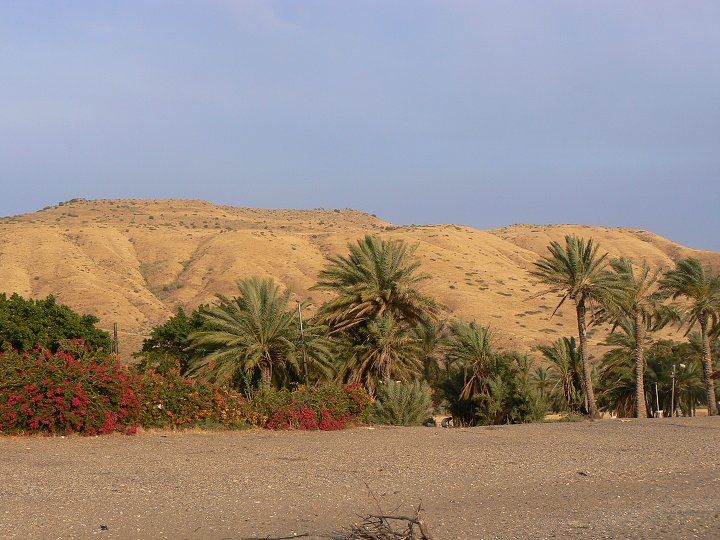 img00320.jpg