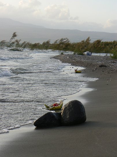 img00326.jpg