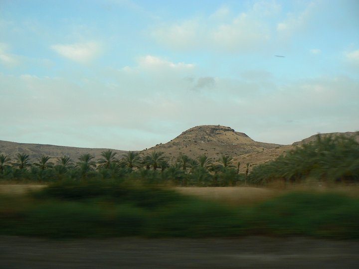 img00330.jpg