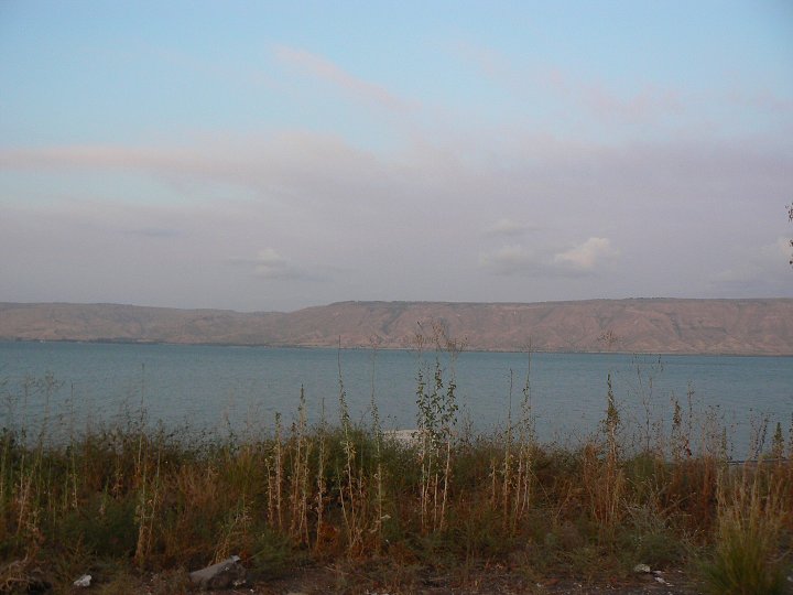 img00331.jpg