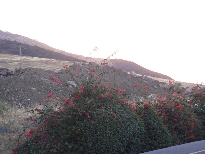 img00334.jpg