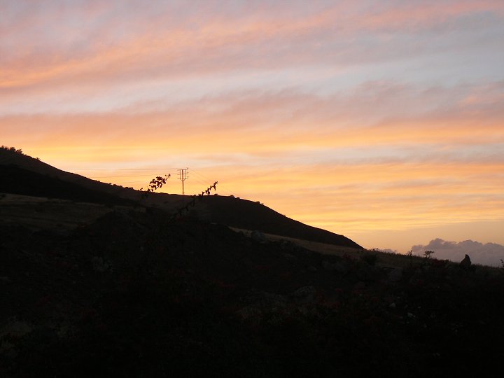 img00336.jpg