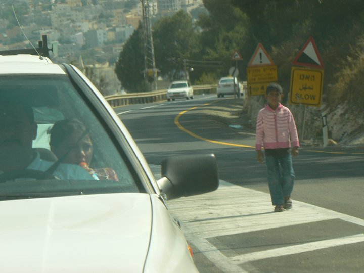 img00355.jpg