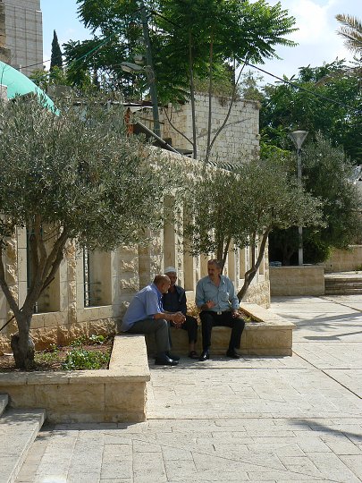 img00364.jpg