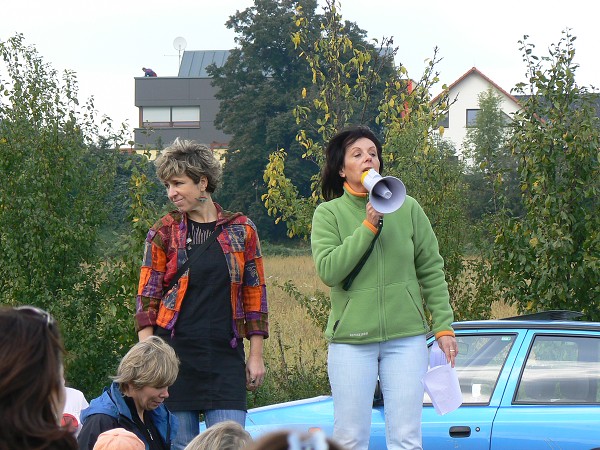 DRACI V JIRNECH