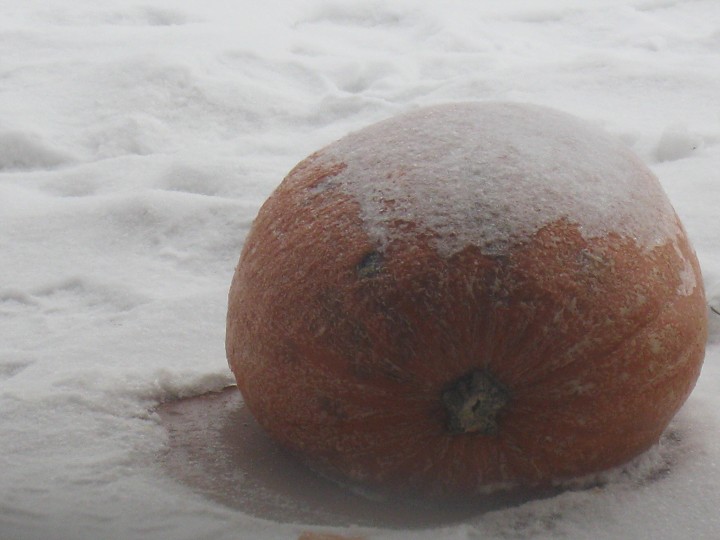 img00002.jpg