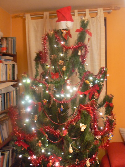 img00036.jpg