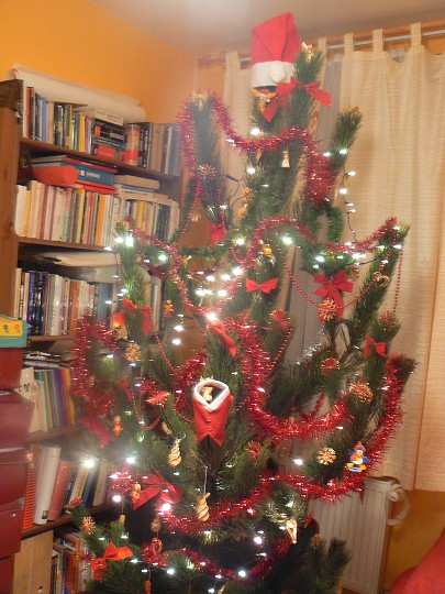 img00041.jpg