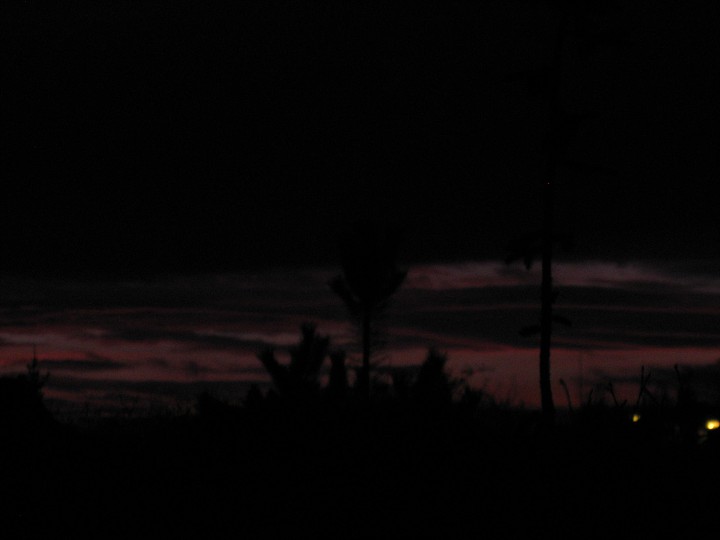 img00004.jpg