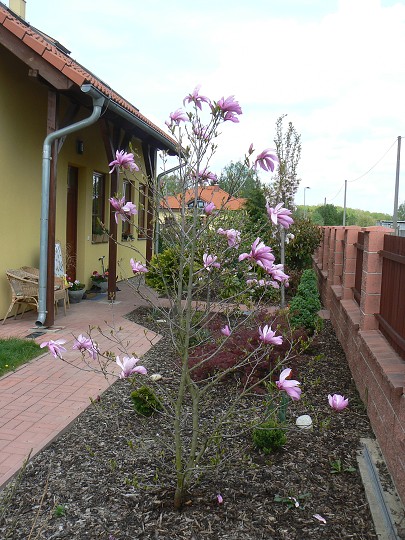 img00006.jpg