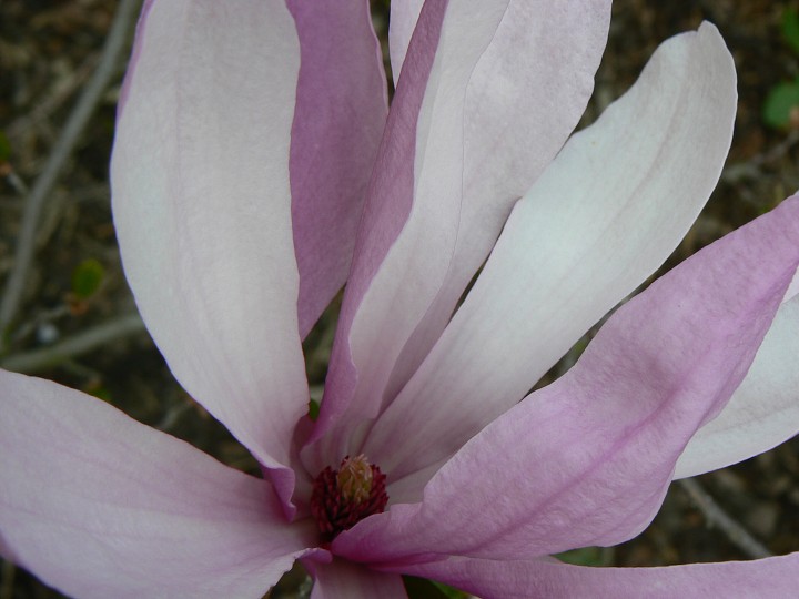 img00011.jpg