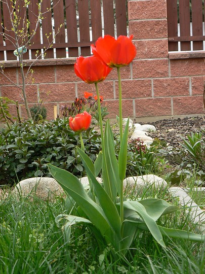 img00018.jpg