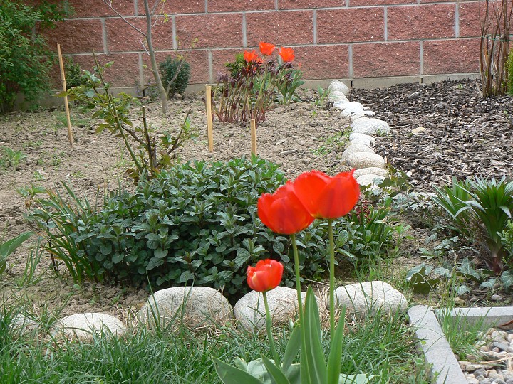 img00019.jpg
