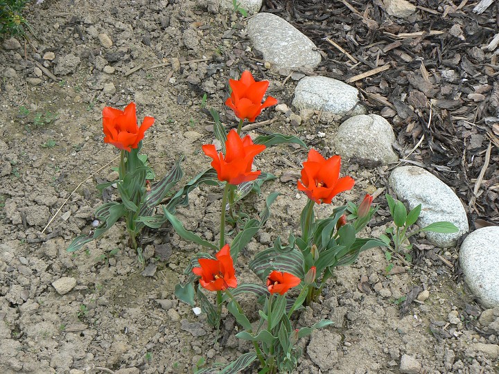img00020.jpg