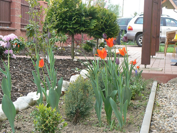 img00021.jpg