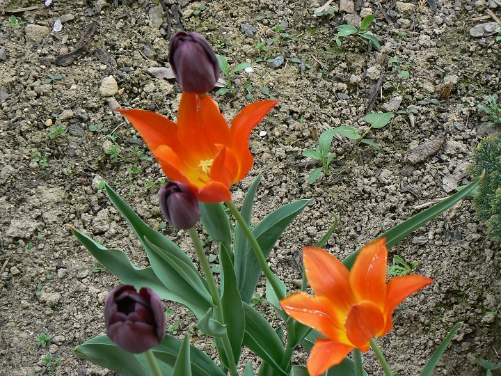 img00023.jpg