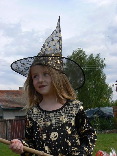img00029.jpg