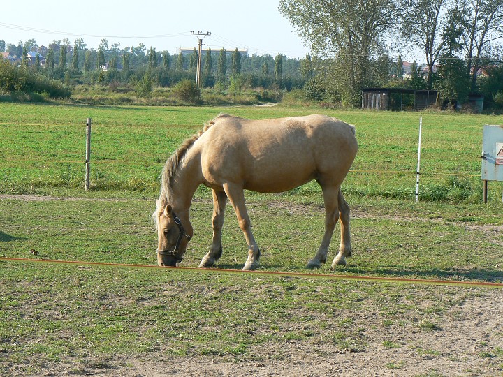 img00047.jpg