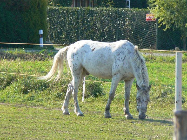 img00048.jpg